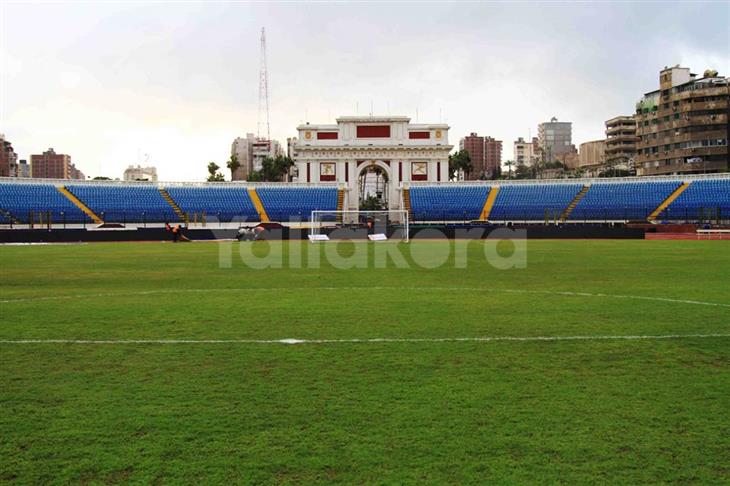 استاد الإسكندرية